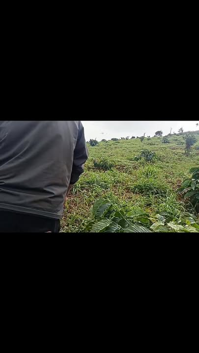 Đất thổ cư Đức An 16.560m² giá 450 triệu - Sổ đỏ chính chủ!