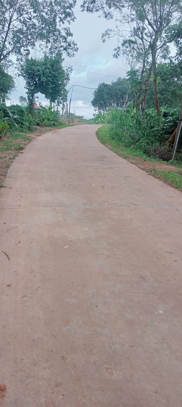 Đất nền 1500m² tại Nam Xuân, Krông Nô - Giá chỉ 2.1 tỷ, sổ hồng chính chủ!