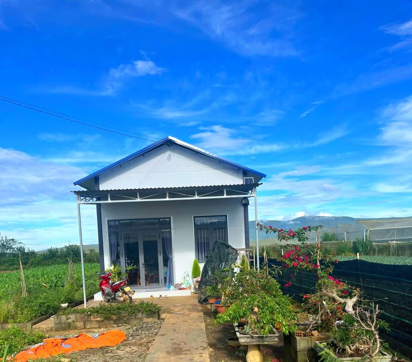 Đất sẵn nhà tại xã Ka Đô, Lâm Đồng 530m² giá 1.5 tỷ - Cơ hội đầu tư tuyệt vời!