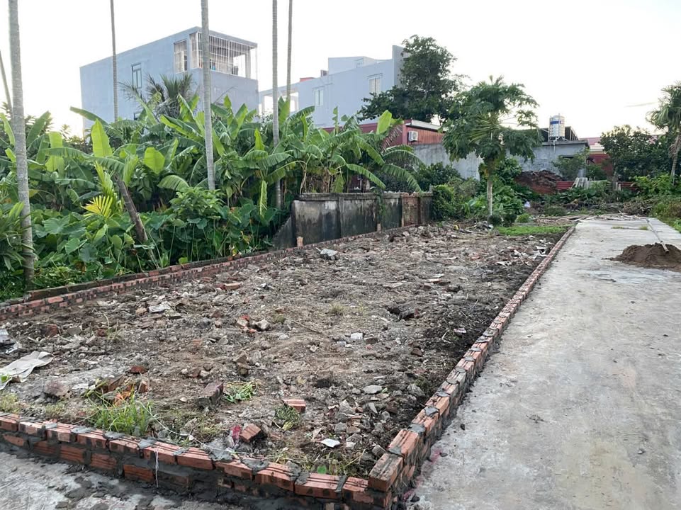 Đất nền Thanh Sơn, Kiến Thụy 78m² giá 1.75 tỷ - Vị trí đẹp, tiện ích đầy đủ!