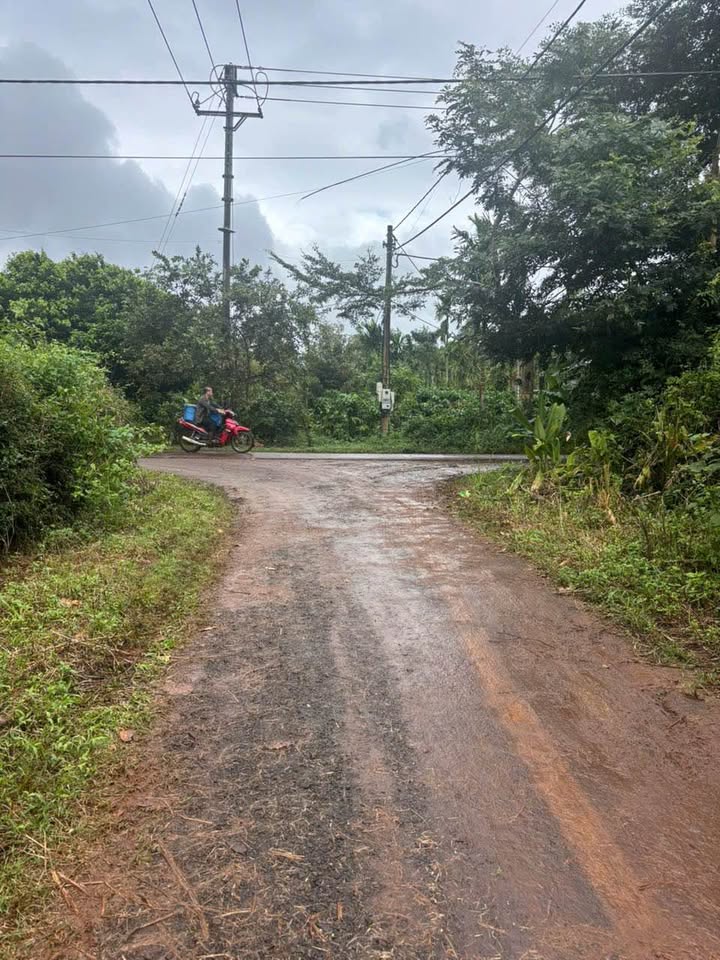 Đất nền Hòa Thắng Buôn Ma Thuột 265m² giá 1.22 tỷ - Sát sân bay, cơ hội đầu tư hấp dẫn!