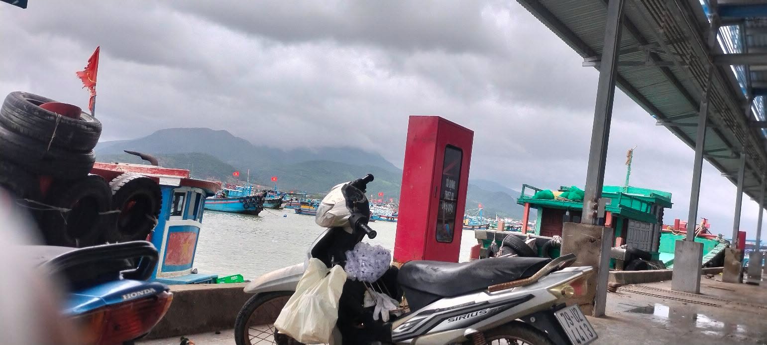 Đất thổ cư Cam Phúc Bắc 120m² giá 620 triệu - Cơ hội đầu tư hấp dẫn!