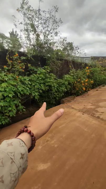 Đất Ôm 3 Mặt Đường Hẻm 192 Trường Sa, Pleiku 470m² giá 47 tỷ - Cơ hội đầu tư lớn!