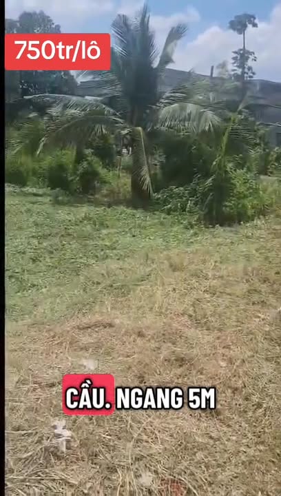 Đất liền kề Ấp 3, xã Mỹ Thạnh 180m² giá 750 triệu - Sổ đỏ chính chủ, xây dựng ngay!