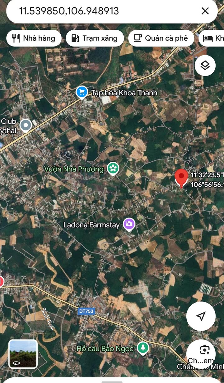 Đất nền 200m² ấp Phước Tân, Đồng Phú - Giá chỉ 300 triệu - Sổ đỏ chính chủ!