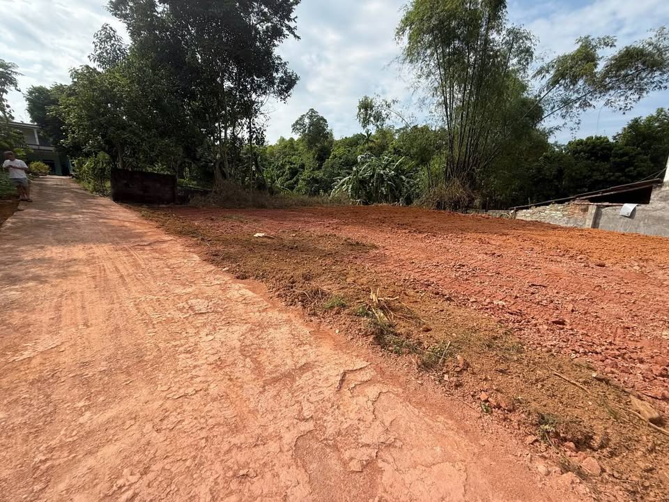 Đất nền thổ cư phường Minh Xuân Tuyên Quang 100m² giá 700 triệu - Vị trí đắc địa cho đầu tư!