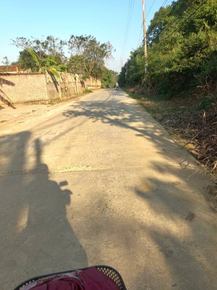 Đất nền Phú Cát, Quốc Oai, Hà Nội 202.8m² giá 1.696 tỷ - Cơ hội đầu tư sinh lời!