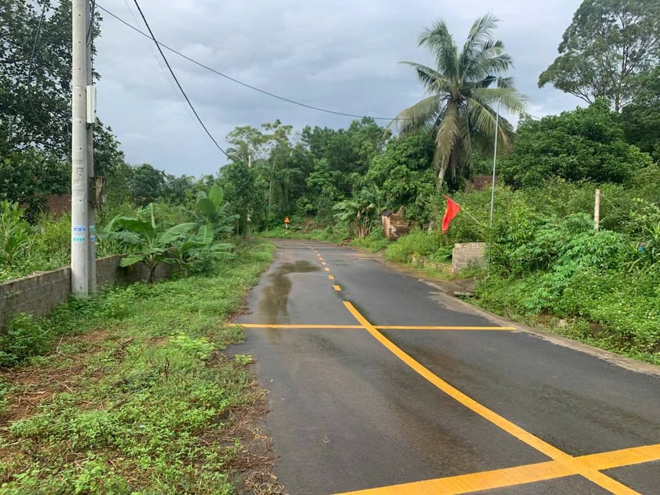 Đất nền Quỳnh Lưu Nho Quan 1.063m² giá 5 tỷ - Đường thông xe container vào tận nơi!