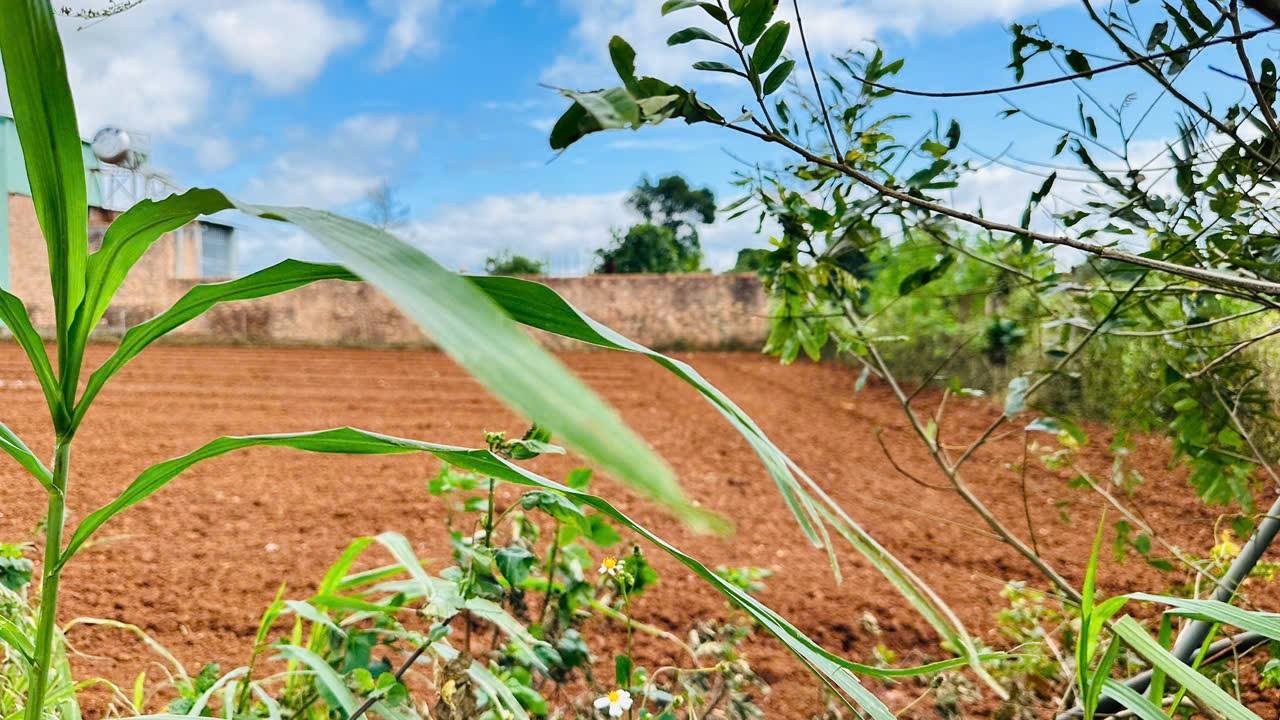 Đất nền Hẻm Nguyễn Tuân, An Phú, 66m² giá 400 triệu - Vị trí đẹp, tiện ích đầy đủ!