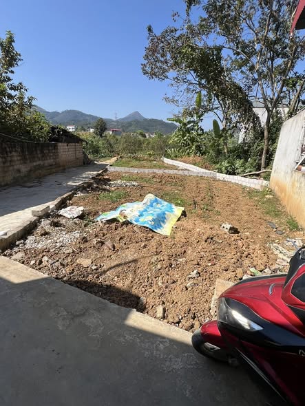 Đất thổ cư Hoàng Tâm, Tam Thanh 70m² giá 750 triệu - Sổ đỏ chính chủ, thuận tiện di chuyển!