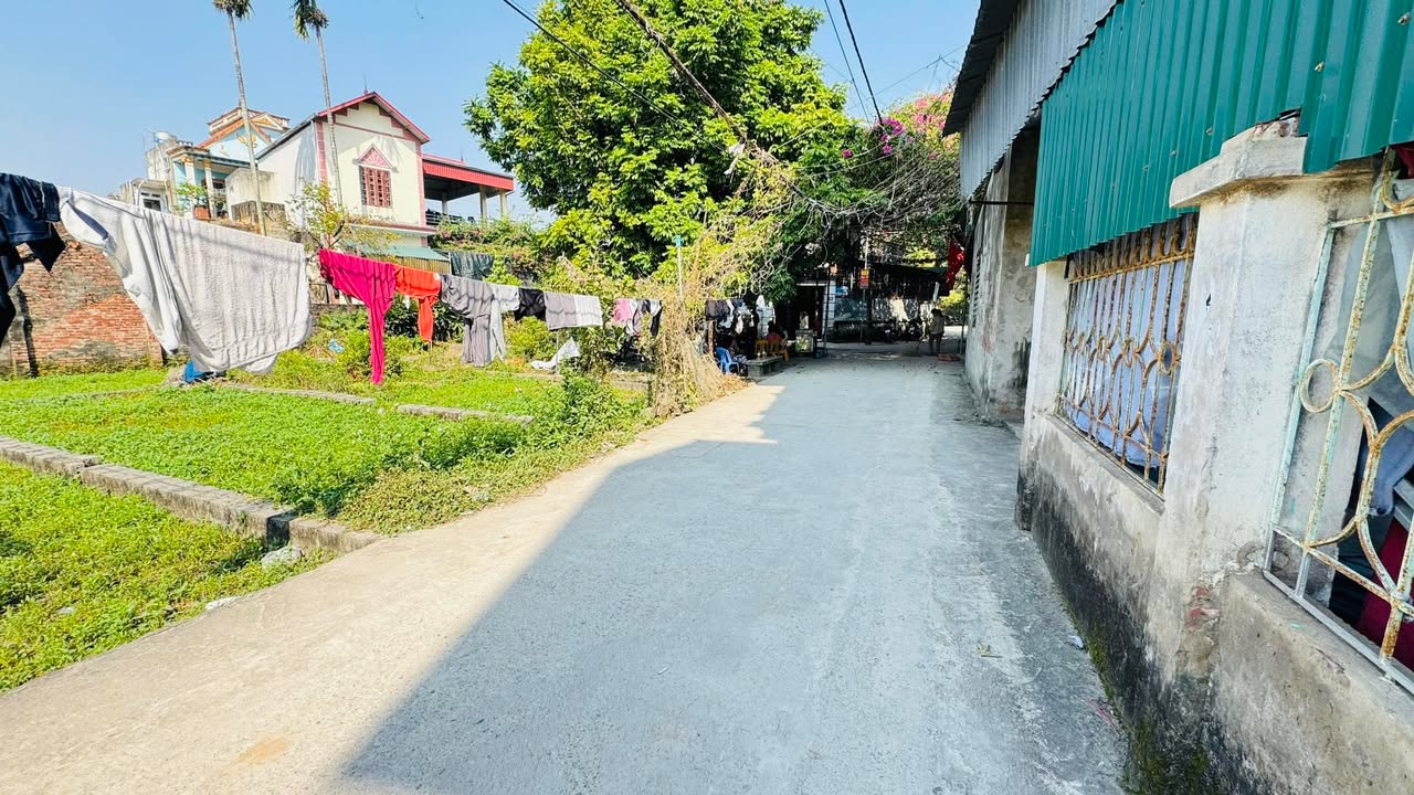 Đất Tân Ước Quế Sơn 50m² - Gần Tỉnh Lộ 429, Đường Rộng 3m!