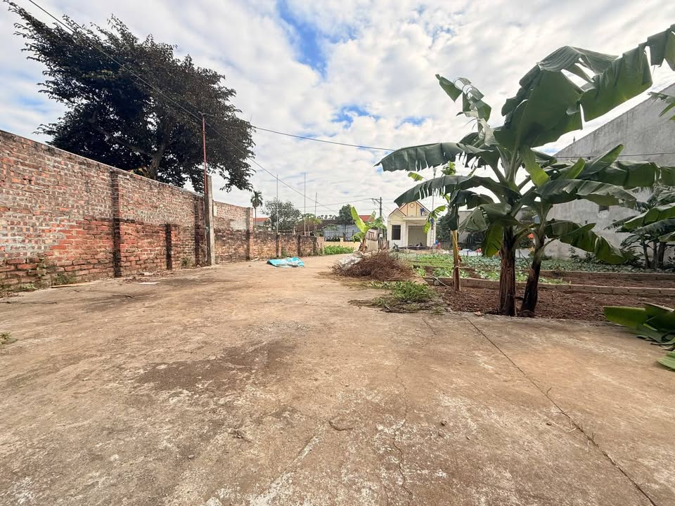 Đất lô góc 51,7m² Tự Nhiên, Thường Tín - Ô tô vào tận nơi, giá cực tốt!