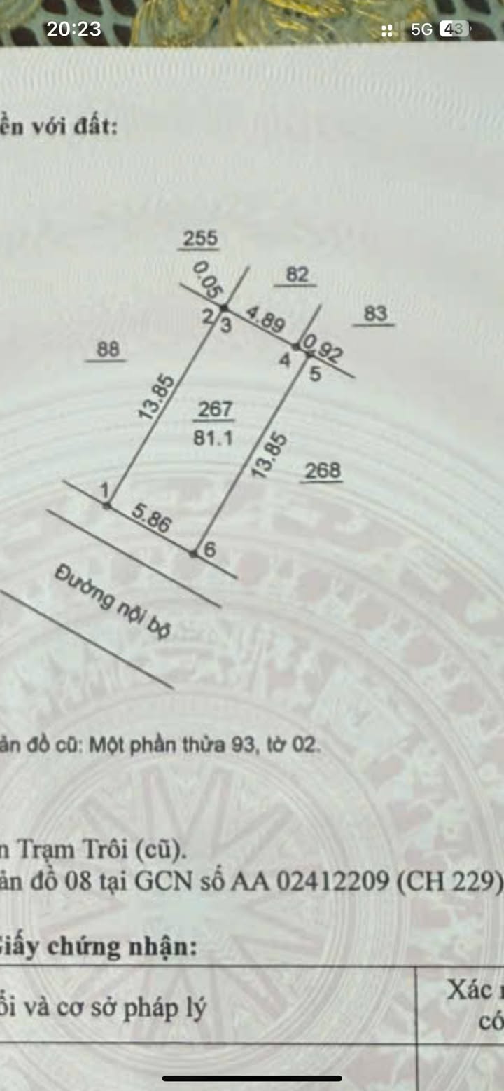 Đất dịch vụ Hoài Đức 81.1m² giá thỏa thuận - Đầu tư sinh lời hấp dẫn!
