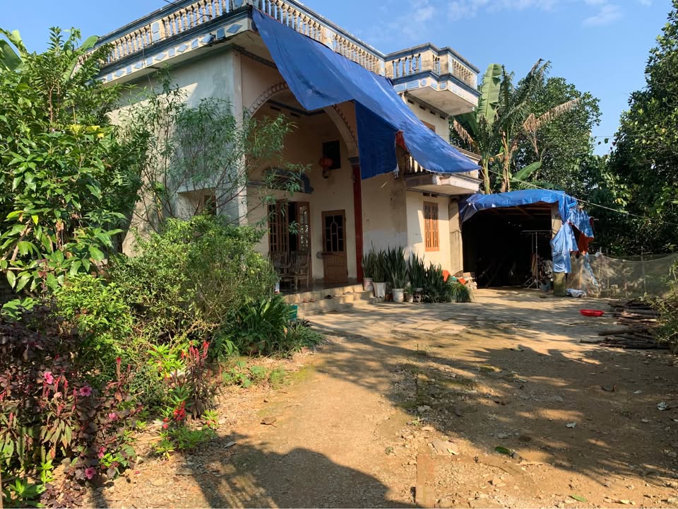 Đất nền Liên Sơn, Phú Thọ 1000m² giá 4 tỷ - Lô góc hiếm, sẵn nhà và vườn đẹp!