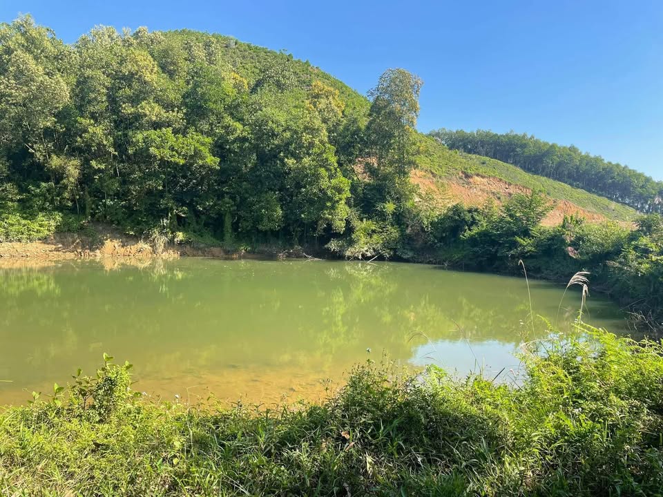 Đất nền Phúc Thuận, Phổ Yên 10,000m² giá 4 tỷ - Cơ hội vàng cho đầu tư!