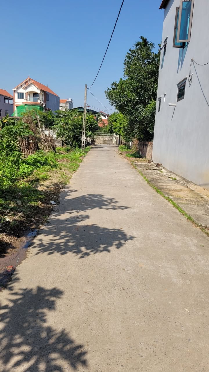 Đất nền Như Quỳnh - Văn Lâm 100m² giá 4x triệu - Tiện ích đầy đủ, giao thông thuận lợi!