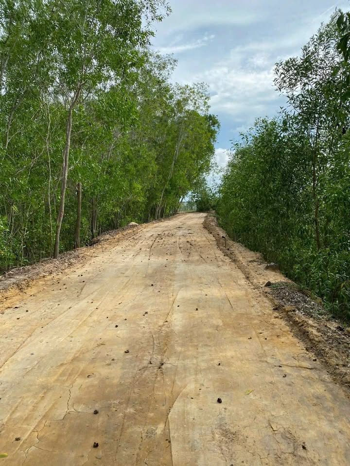 Đất nền 1.1ha An Ngãi, Long Điền - Giá chỉ 16.6 tỷ, cơ hội đầu tư tuyệt vời!