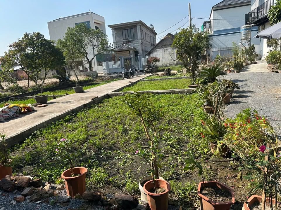 Đất Xâm Xuyên Hồng Vân 40.3m² giá 2.95 tỷ - Lô góc phong thủy đẹp!