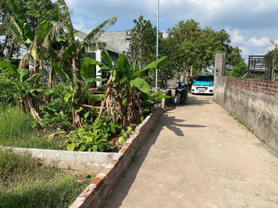 Đất nền xã Điệp Nông, Hưng Hà, Thái Bình 103m² - Đường ô tô vào tận đất