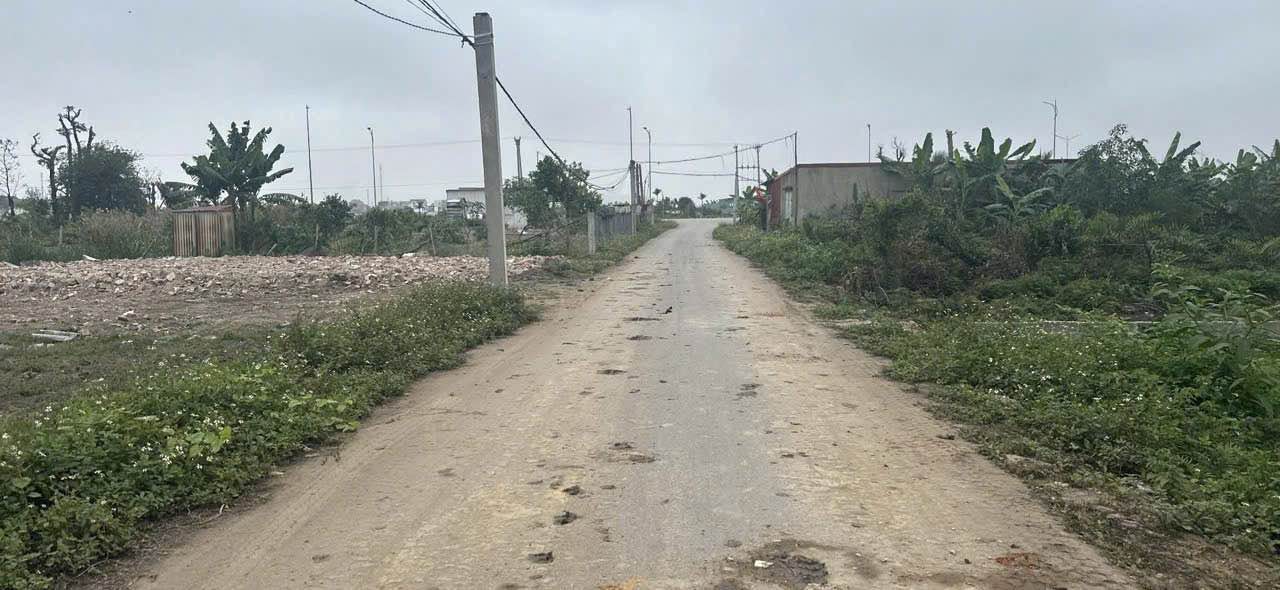 Đất nền mặt đường Dân Tiến - Đồ Sơn Hải Phòng 150m² giá 1.5 tỷ - Cơ hội đầu tư hấp dẫn!