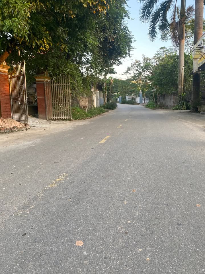 Đất nền Tứ Yên, Lập Thạch 110m² giá 1.1 tỷ - Cơ hội đầu tư sinh lời!