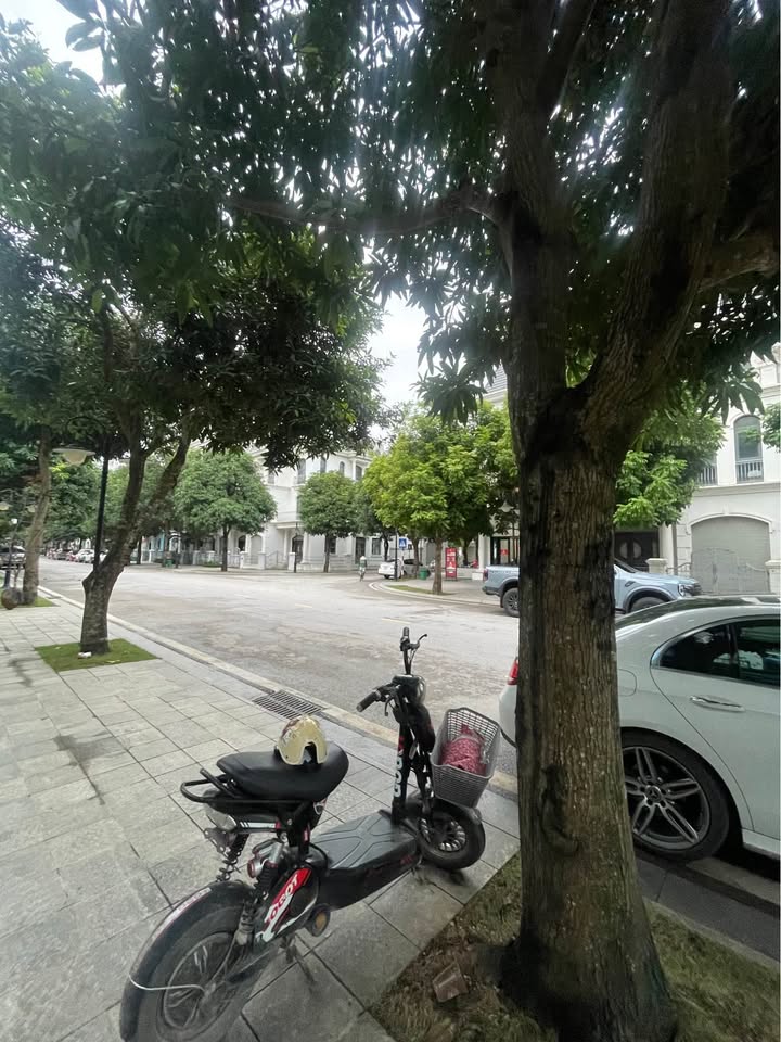 Nhà nguyên căn 4 tầng phường Trường Thi 360m² chỉ 7 triệu/tháng - Phù hợp cho văn phòng và ở!