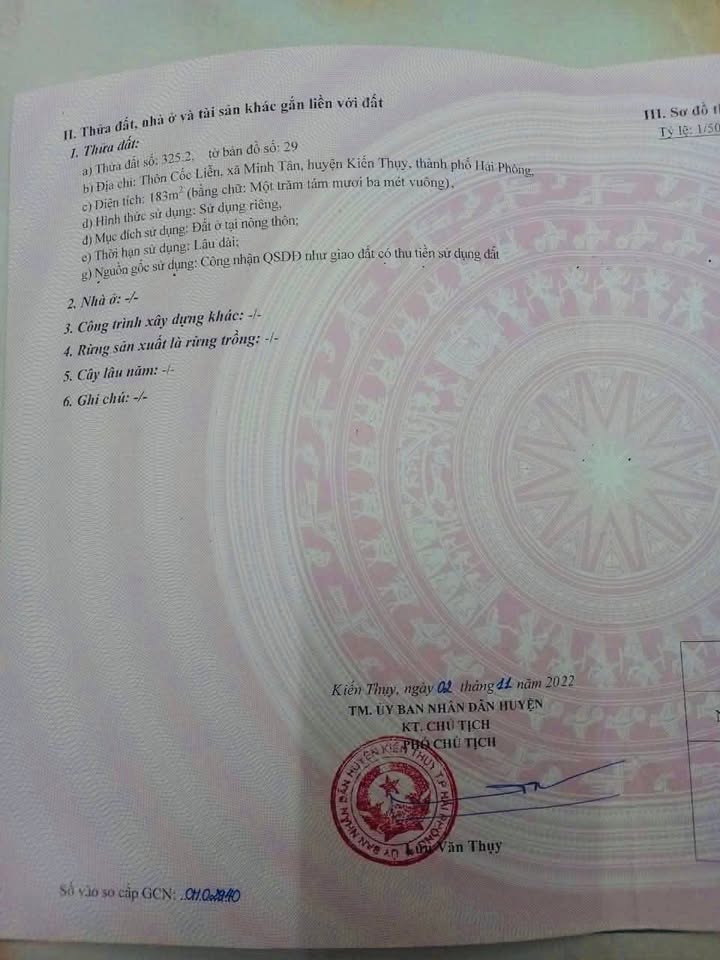 Đất nền Cốc Liễn - Minh Tân - Kiến Thụy 183m² giá 1 tỷ - Lô đất lý tưởng cho nhà vườn!