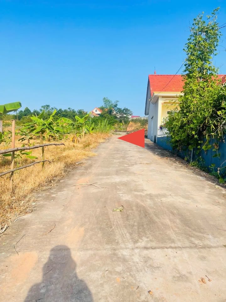 Đất vườn Chu Điện Lục Nam 1.475m² giá 2 tỷ - Vị trí đắc địa, cơ hội đầu tư hấp dẫn!