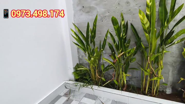 Nhà Long Hải phường Long Hoa 128m² giá 1.39 tỷ - Mặt tiền đường nhựa đông đúc!