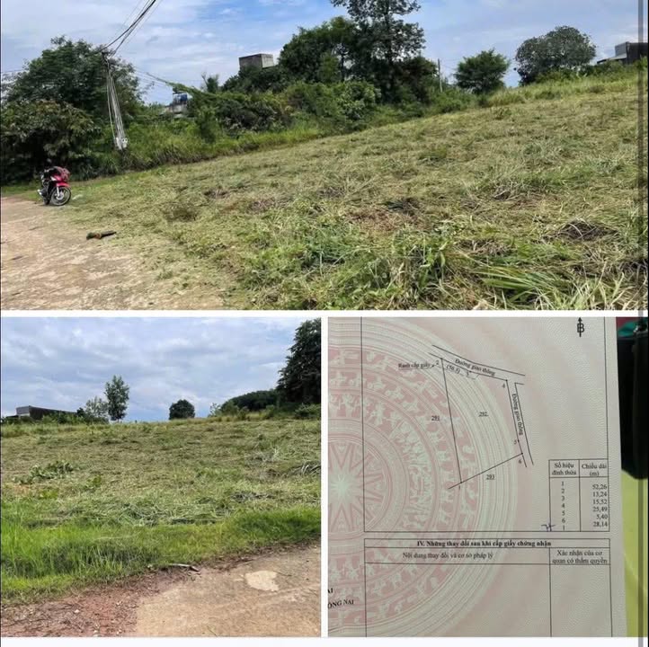 Đất nền 1000m² xã Phú Thanh, Tân Phú chỉ 570 triệu - Cần tiền bán gấp!