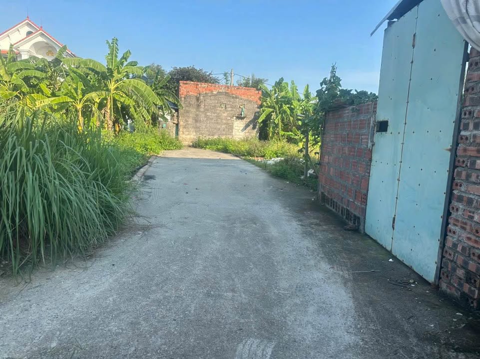 Đất nền Hoa Động Thủy Nguyên 60m² giá 1 tỷ - Đầu tư sinh lời ngay!