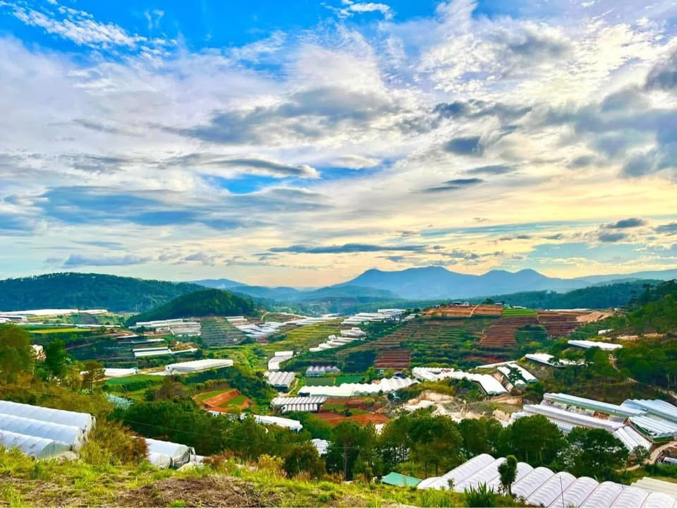 Đất Săn Mây Đà Lạt 4275m² - Vị trí đắc địa, giá thỏa thuận!