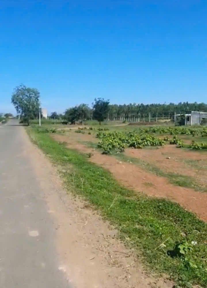 Đất nền Láng Dài, Đất Đỏ 25.000m² giá chỉ 45 tỷ - Cơ hội đầu tư vàng!