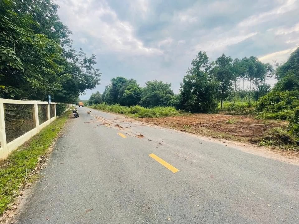 Đất nền Bàu Bàng 1ha mặt tiền 60m - Giá chỉ 12 tỷ, cơ hội đầu tư tốt!