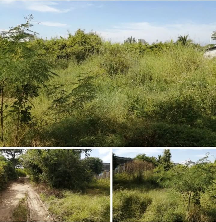 Đất thổ cư 500m² xã Phong Nẫm, Phan Thiết - Mặt tiền đường bê tông, giá thỏa thuận!