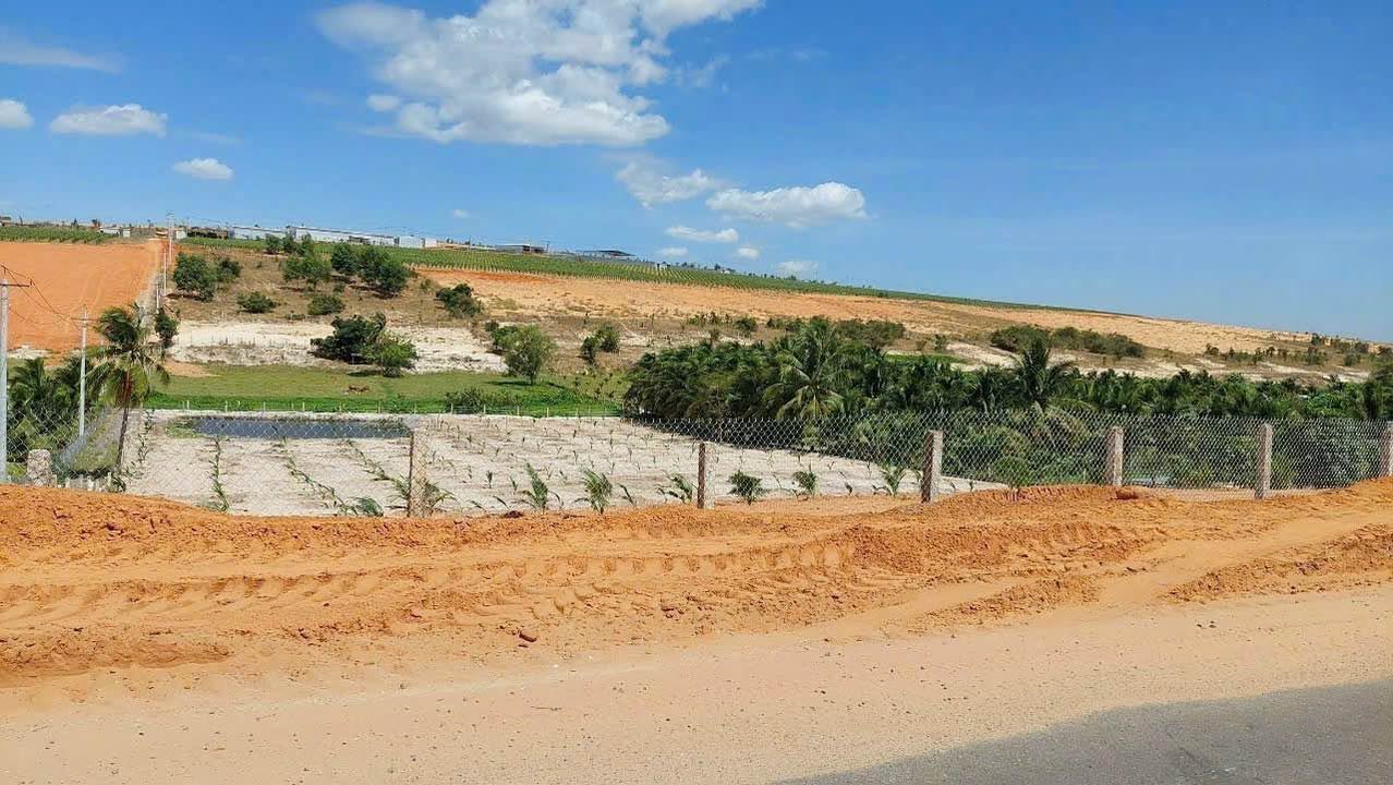 Đất mặt tiền đường 715 Hàm Đức, 500m² giá 699 triệu - Cơ hội đầu tư tuyệt vời!