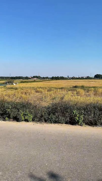 Đất nền khu phố Mai Cương, Quế Võ, 100m² - Giá tốt, pháp lý rõ ràng!