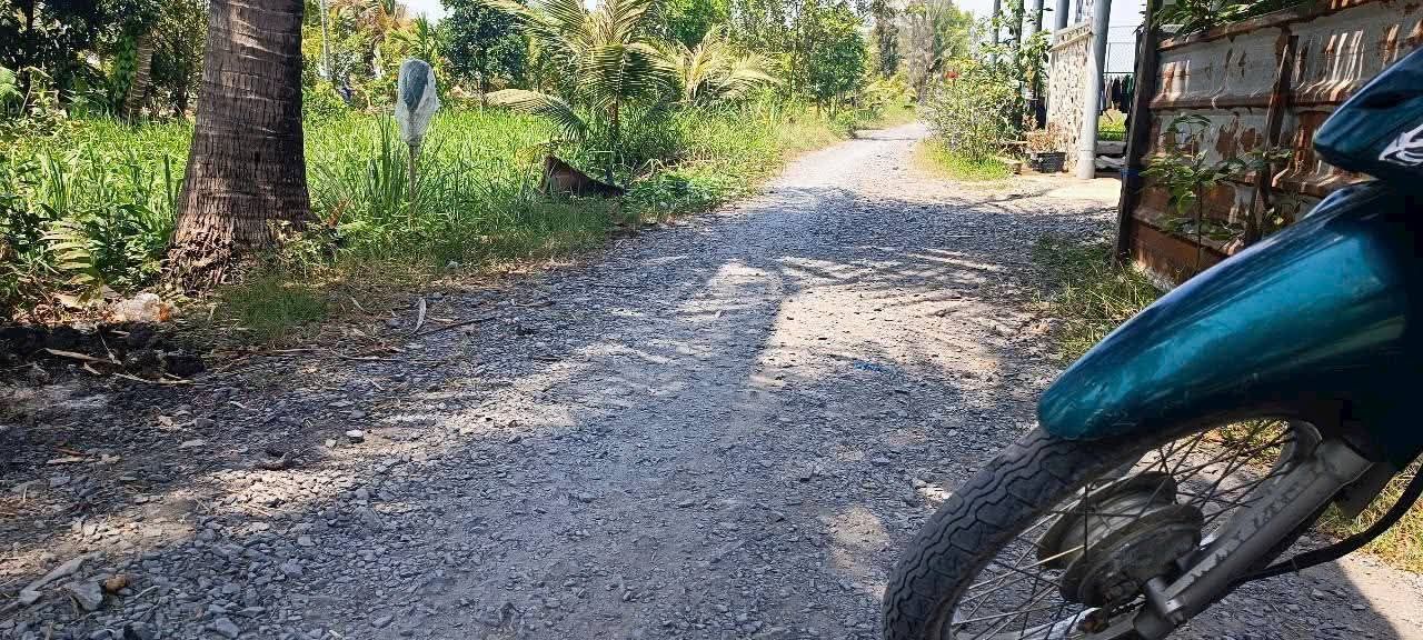 Đất vườn 488m² tại ấp 4, xã Mỹ An, huyện Thủ Thừa - Giá chỉ 550 triệu!