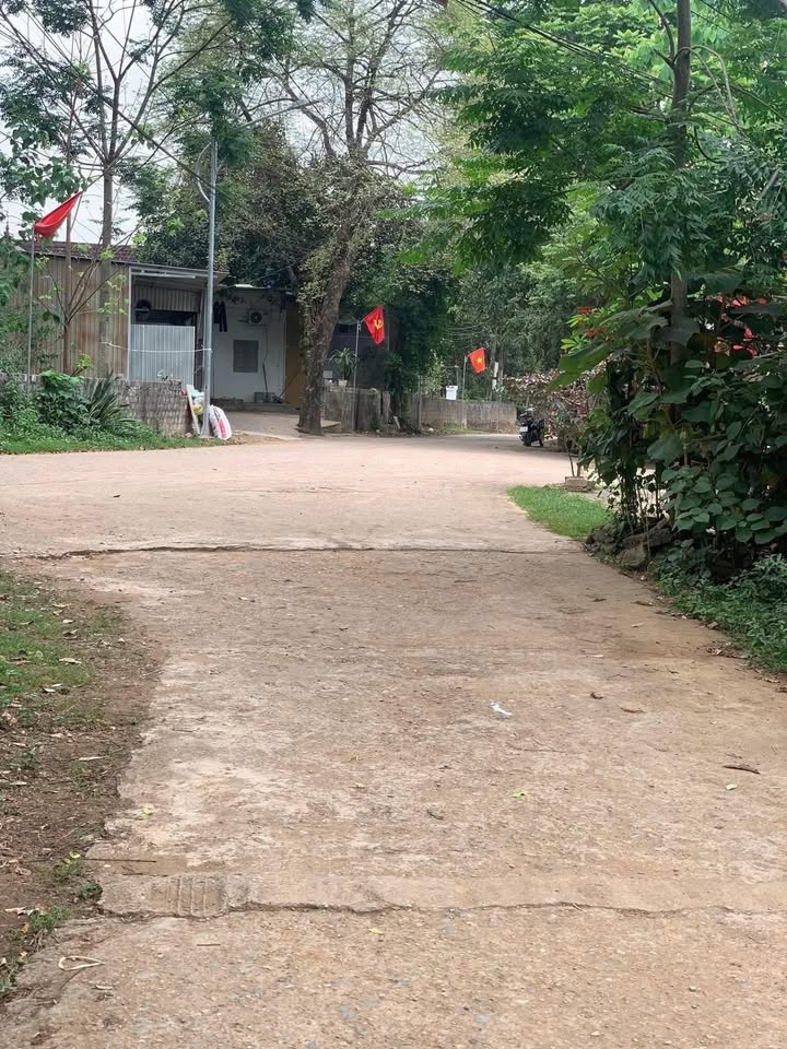 Lô đất 174.3m² tại Xóm Nghĩa Dũng - Thái Hòa, giá chỉ 700 triệu - Cơ hội đầu tư tuyệt vời!