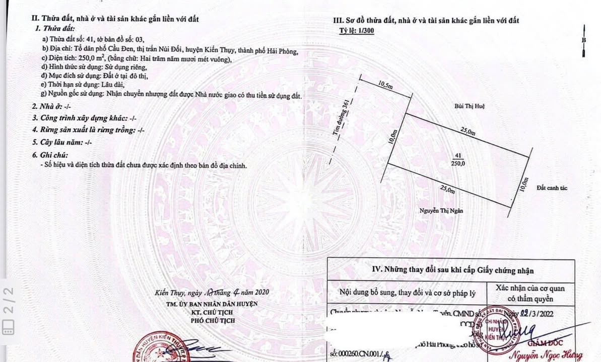 Đất nền đẹp tại Kiến Thụy Hải Phòng 250m² giá 12 tỷ - Vị trí kinh doanh đắc địa!