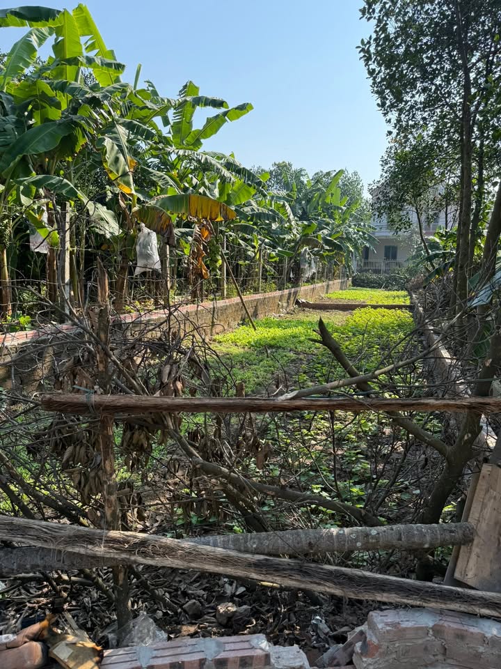 Đất nền Vân Nam, Phúc Thọ 108,7m² chỉ 2 tỷ - Đầu tư sinh lời cao!