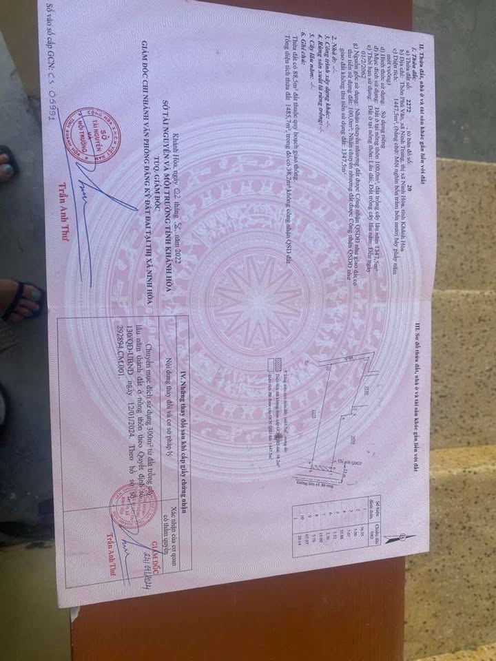 Đất nền Hòa Trí Ninh Hòa 1447m² giá 3 tỷ - Đầu tư tuyệt vời!