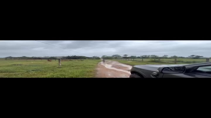 Đất nền Tân Mỹ, Ninh Xuân 116m² giá chỉ 300 triệu - Cơ hội đầu tư hấp dẫn!