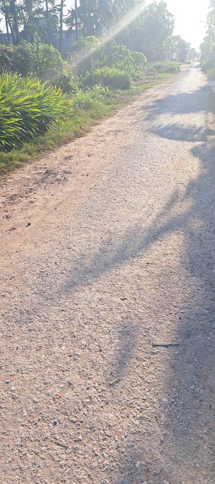 Đất thổ cư Giao Châu 250m² giá 4.2 tỷ - Sổ đỏ chính chủ, vị trí đẹp!