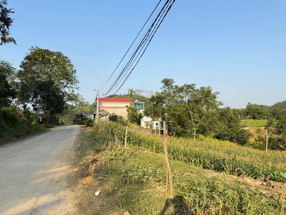 Đất thổ cư Minh Sơn Ngọc Lặc 100m² giá thỏa thuận - Đầu tư sinh lời cao!