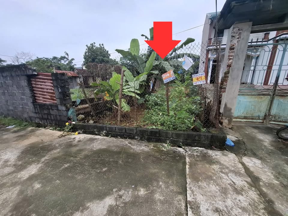 Đất thổ cư 80.1m² tại Đông Yên, Quốc Oai giá chỉ 2.7 tỷ - Sổ hồng đầy đủ!