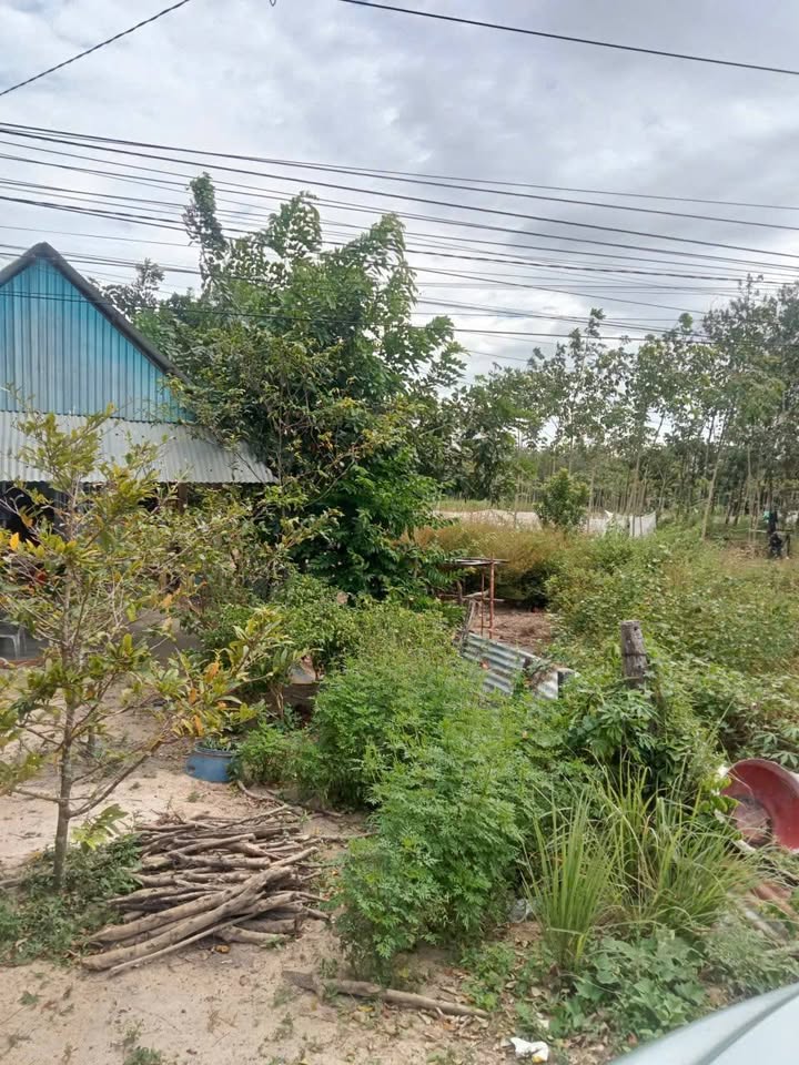 Đất nền Mỏ Công, Tân Biên 210m² giá 309 triệu - Cơ hội đầu tư tuyệt vời!