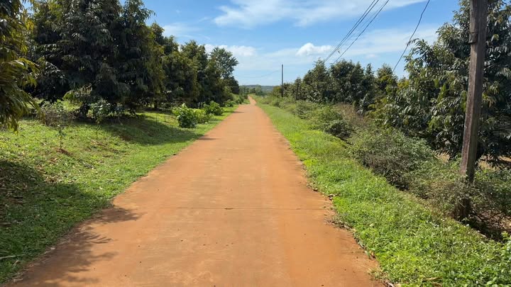 Đất thổ cư 5 sào Đắk Sin - Giá 1.6 tỷ, thương lượng tốt!