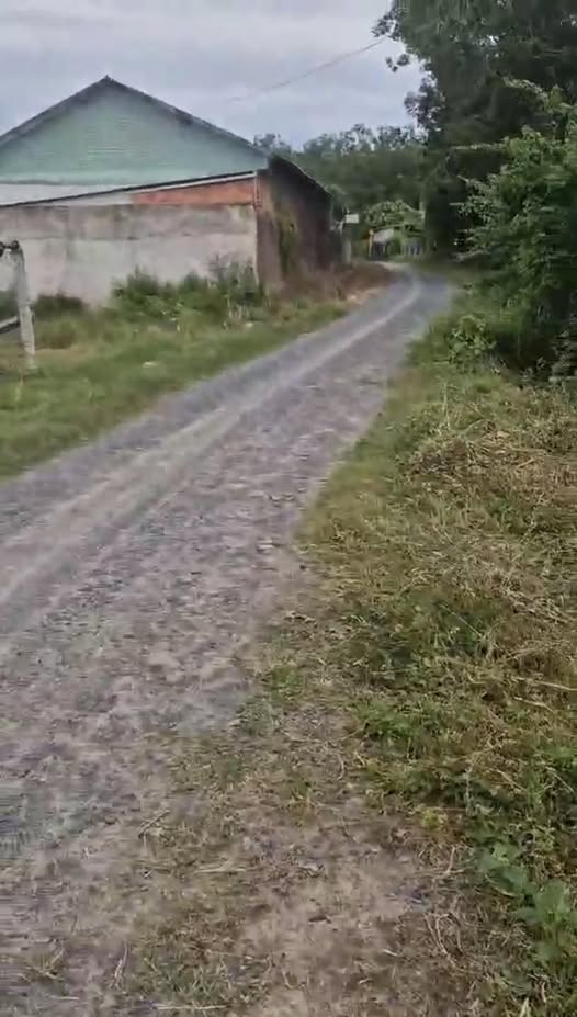 Đất thổ cư Hiệp Thạnh, Gò Dầu 495m² giá 869 triệu - Cơ hội đầu tư hấp dẫn!