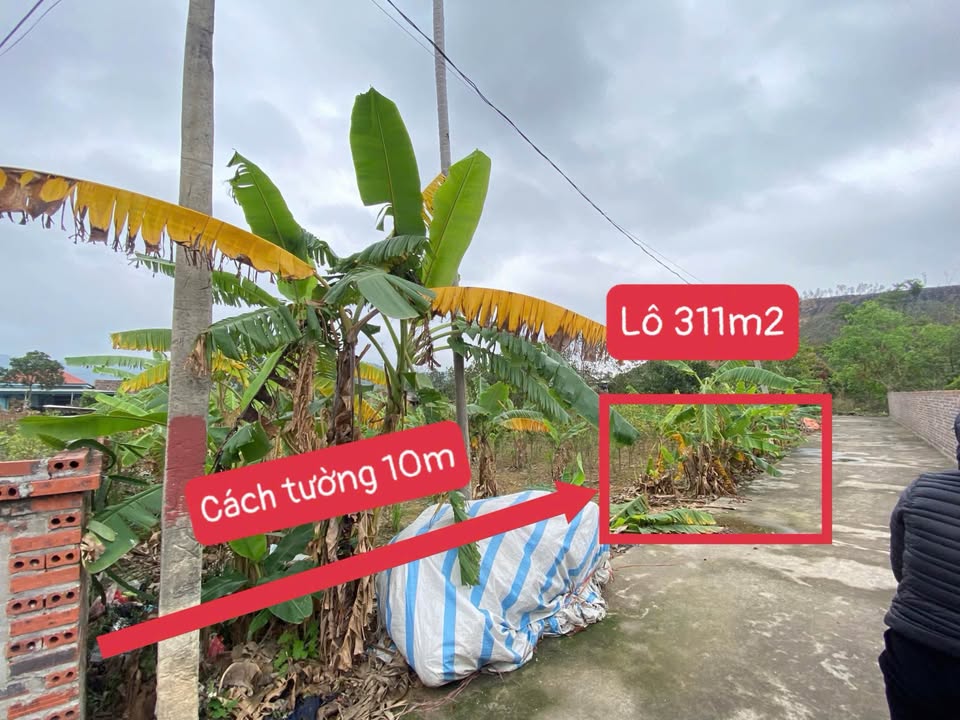 Đất nền Trại Lốc, An Sinh 311m² giá chỉ 700 triệu - Đường ô tô vào tận nơi!